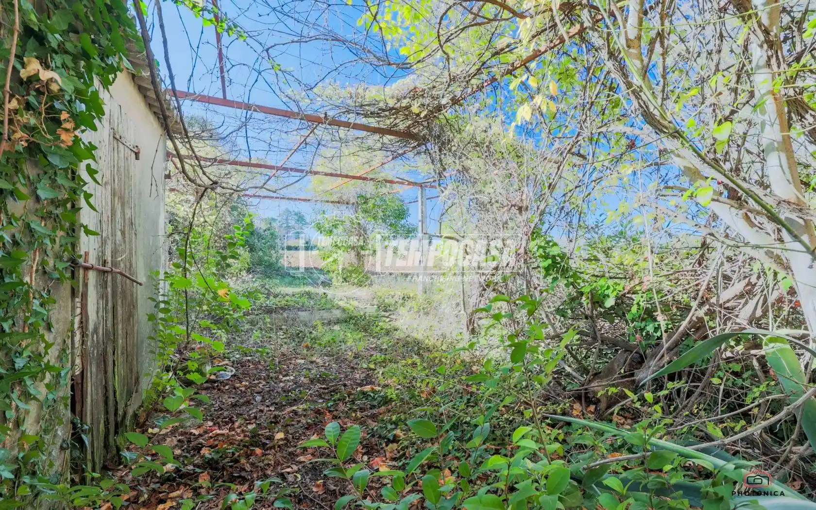 Rustico viale Mandello, San Lorenzo Monte, Riccione - foto 4