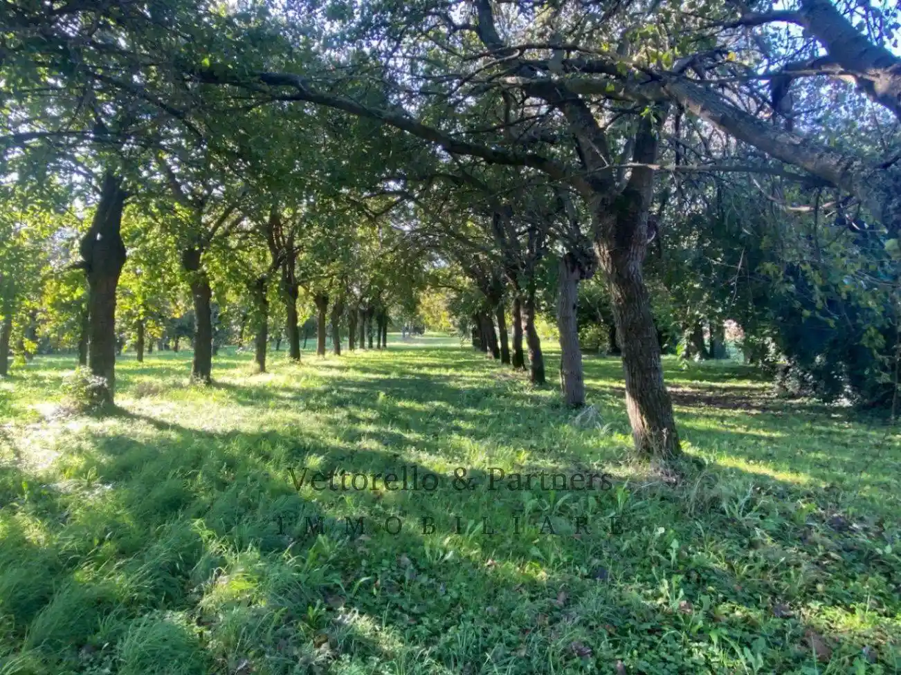 Appartamento via Frattin 26, Brotto, Scorzè - foto 5