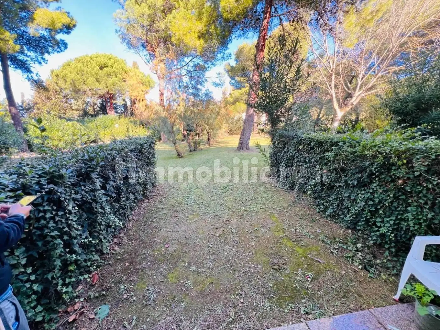 Bilocale via dei Melograni,, Marina Di Bibbona, Bibbona - foto 4