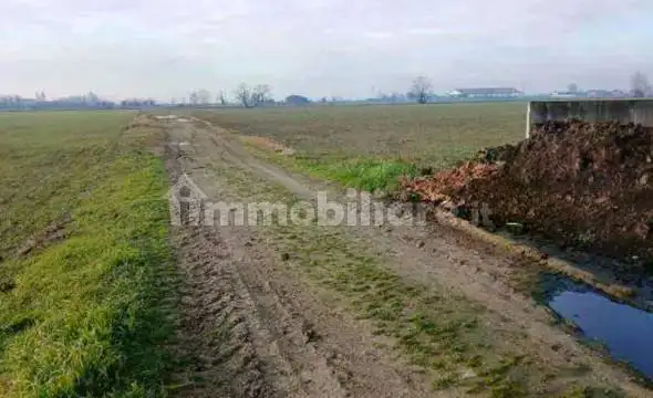 Appartamento in asta a Povegliano Veronese