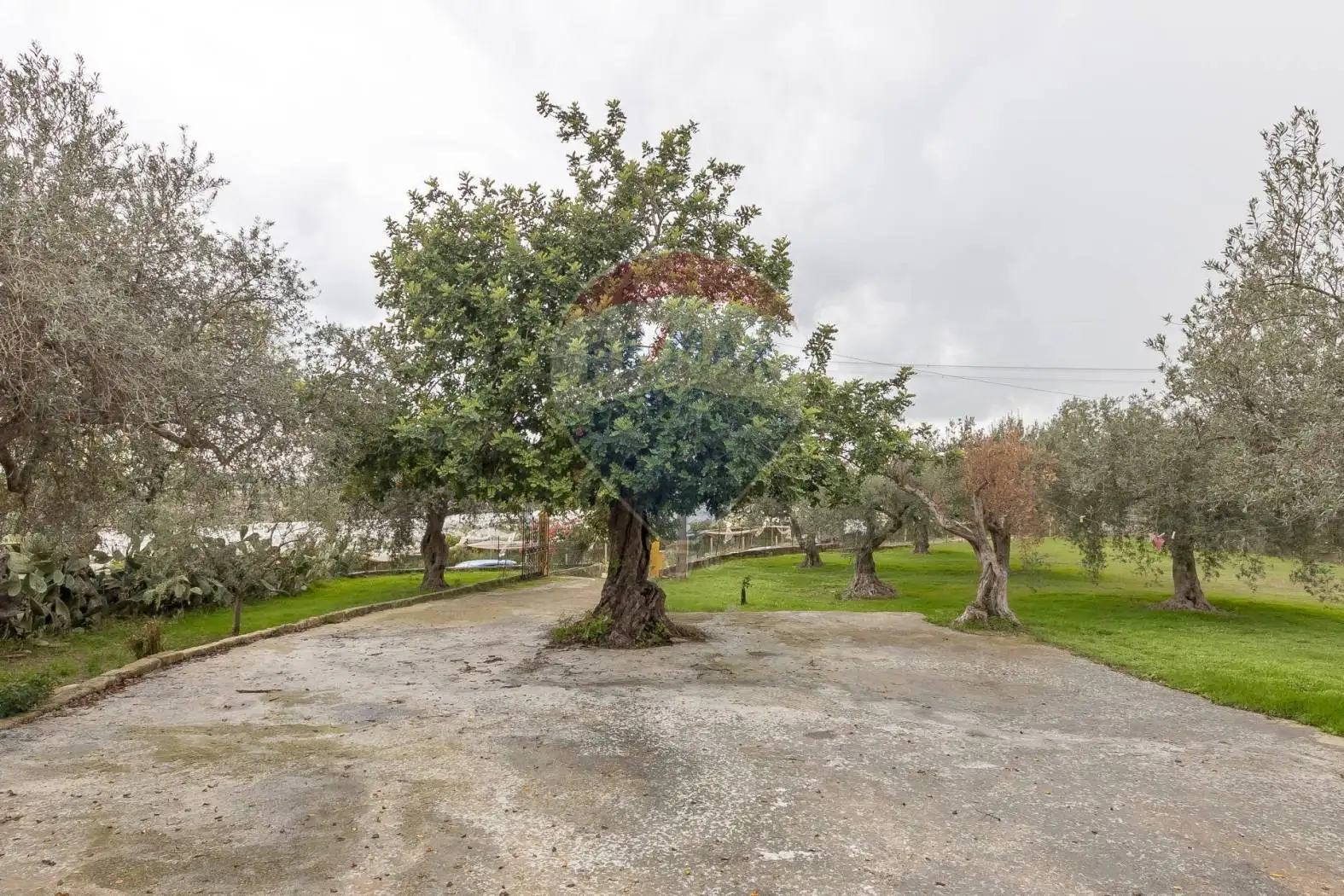 Terratetto unifamiliare C.da Dicchiara sn, Chiaramonte Gulfi - foto 5