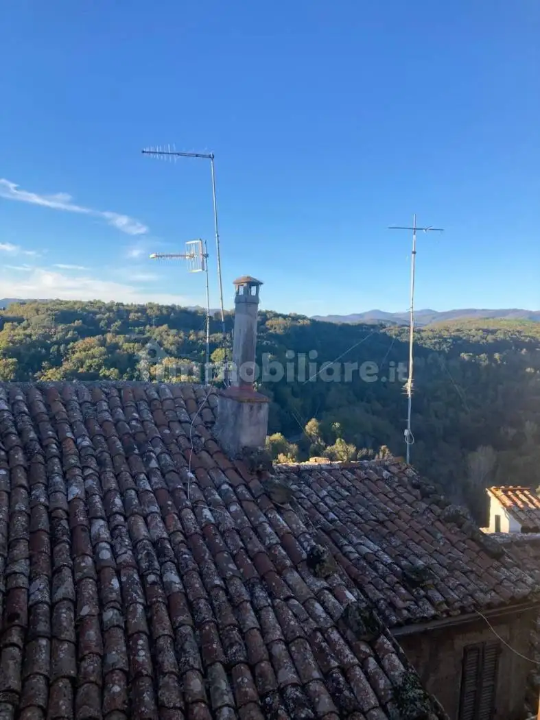 Appartamento in vendita a Pitigliano