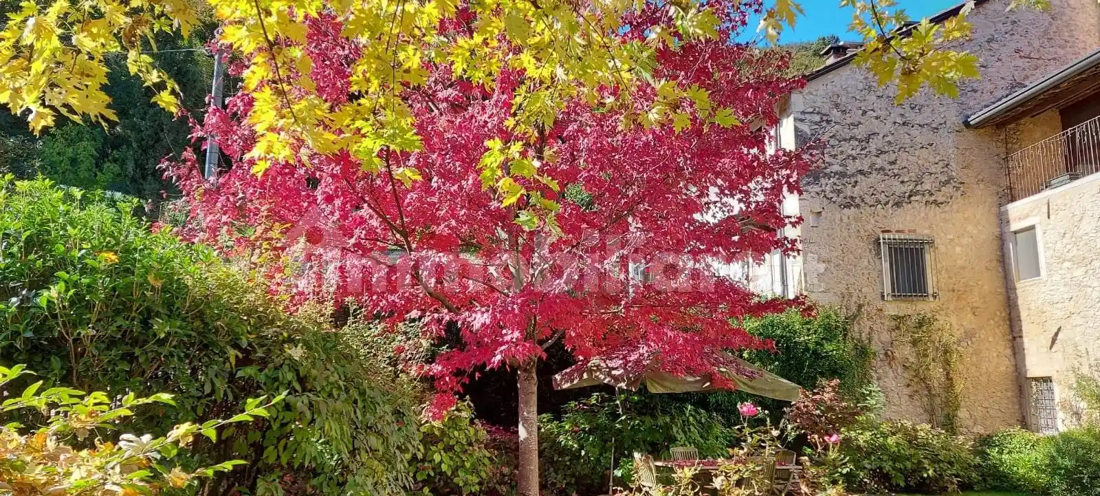 Rustico via Santa Maria, Arcugnano - foto 3