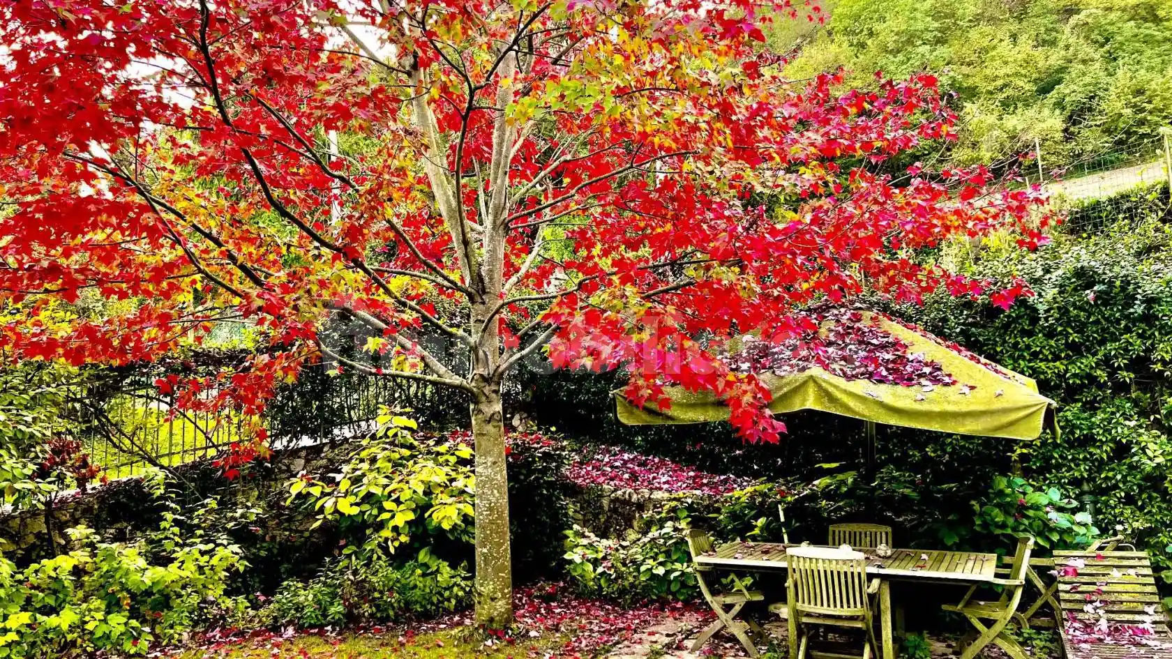 Rustico via Santa Maria, Arcugnano - foto 4