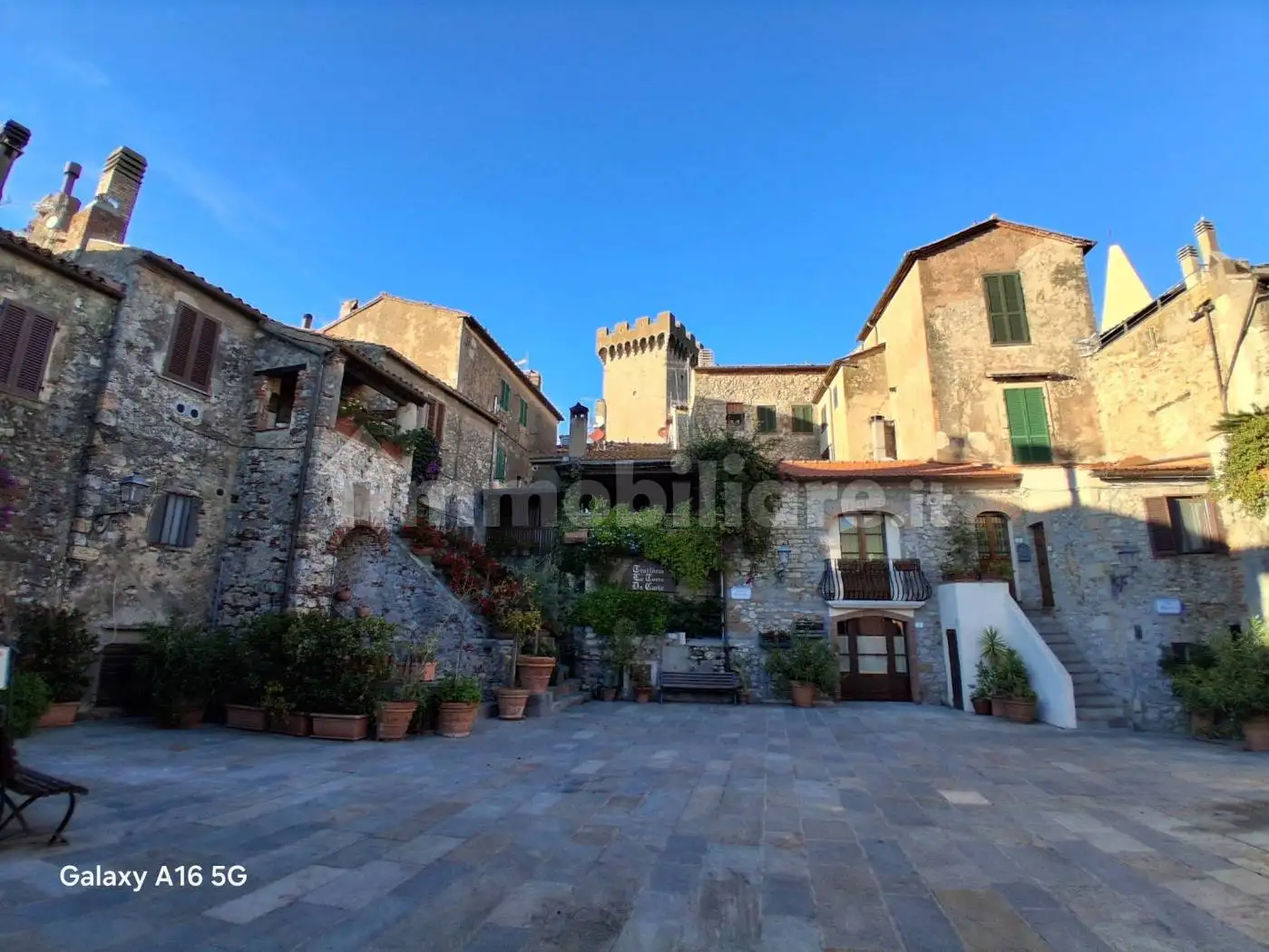 Appartamento in affitto a Capalbio