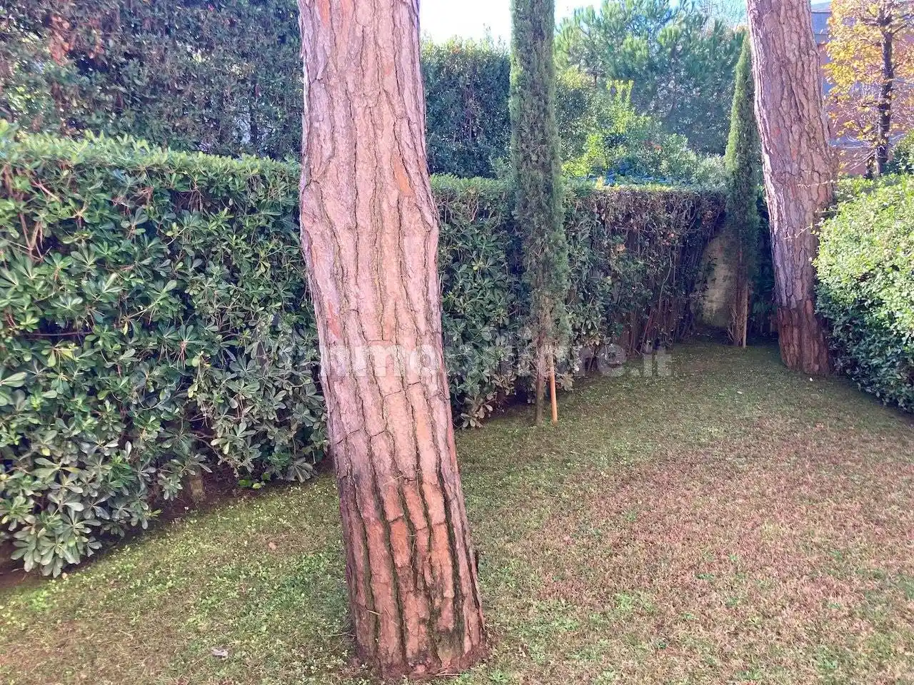 Appartamento via Lorenzo de' Medici, Vittoria Apuana, Forte dei Marmi - foto 3