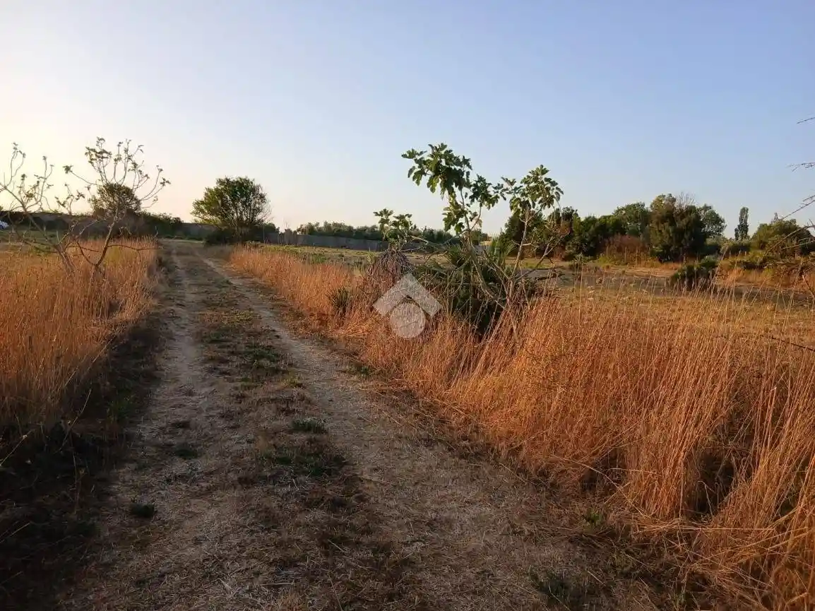 Terratetto unifamiliare via Procoio di Ceri 42, Olmetto, Monteroni, Via del Laghetto, Ladispoli - foto 4