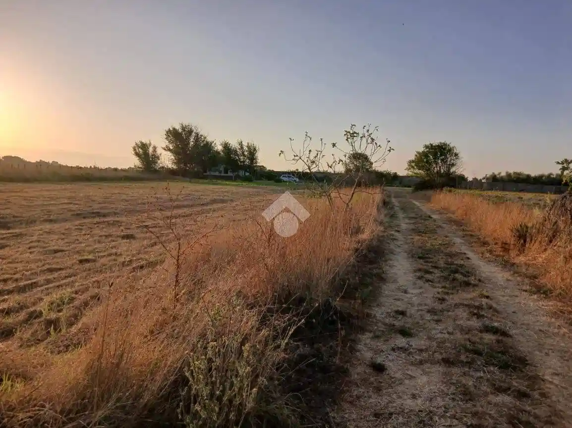 Terratetto unifamiliare via Procoio di Ceri 42, Olmetto, Monteroni, Via del Laghetto, Ladispoli - foto 5