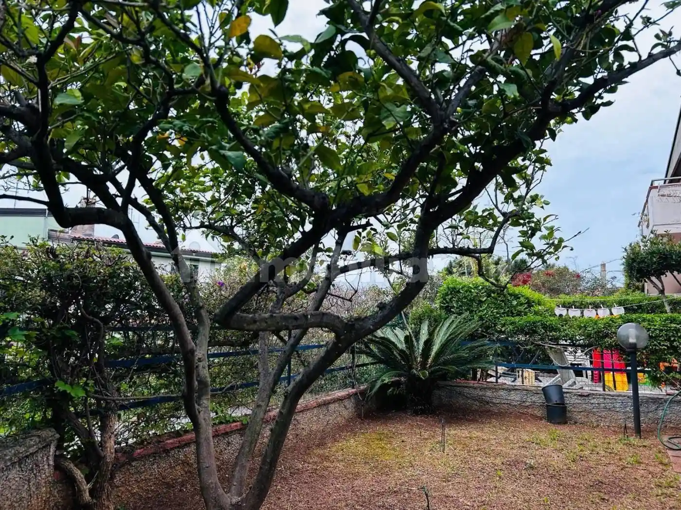 Villa a schiera viale Caravaggio, Baia del Carpino, Petrosa, Piano Grande, Scalea - foto 4