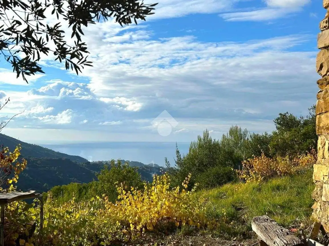 Rustico - Casale in vendita a Vallebona