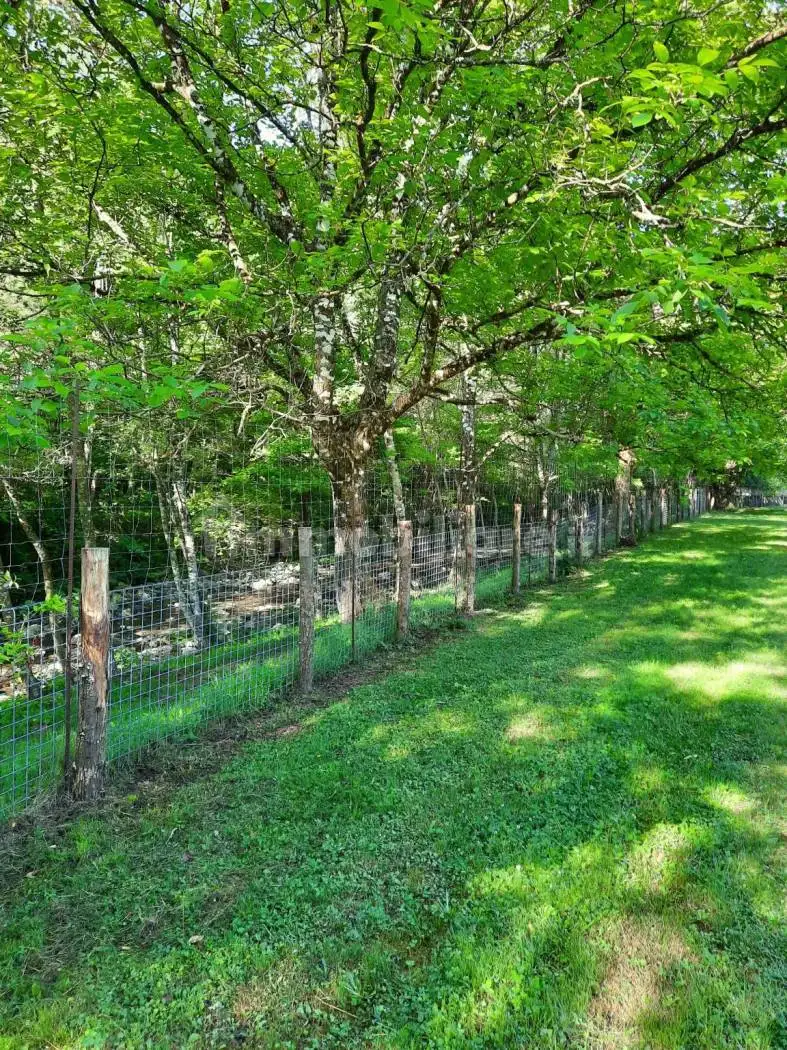 Casale via Isolao Travo 13, Carro - foto 4