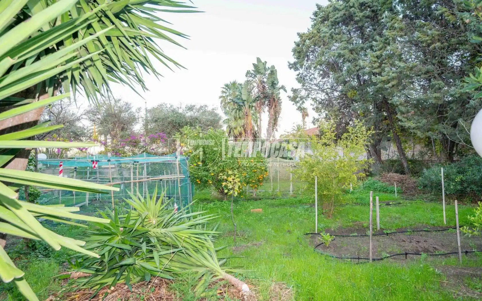 Quadrilocale via margi c/da granatari, Torre Faro, Messina - foto 5