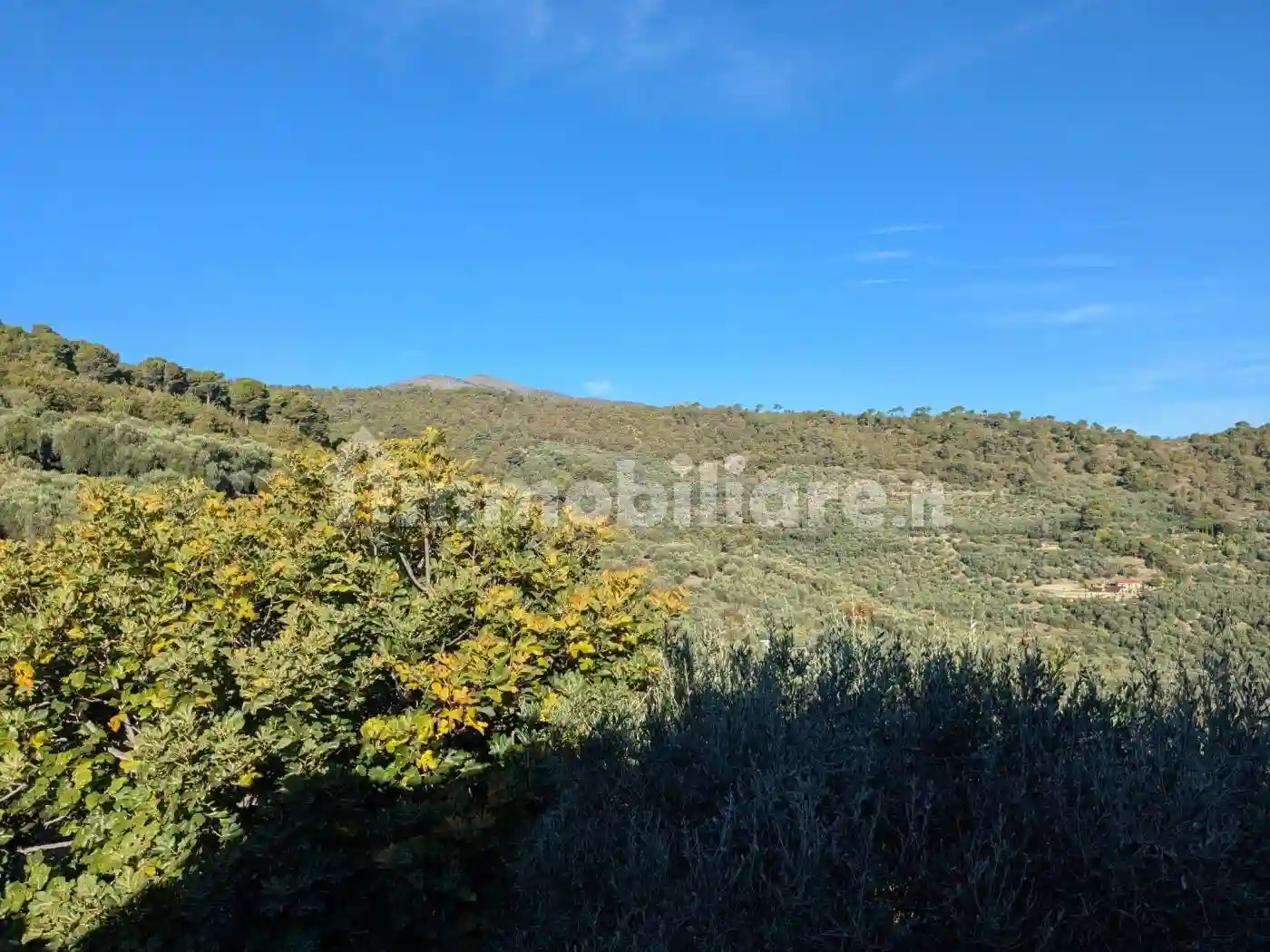 Rustico via San Rocco 90, Lingueglietta, Cipressa - foto 4