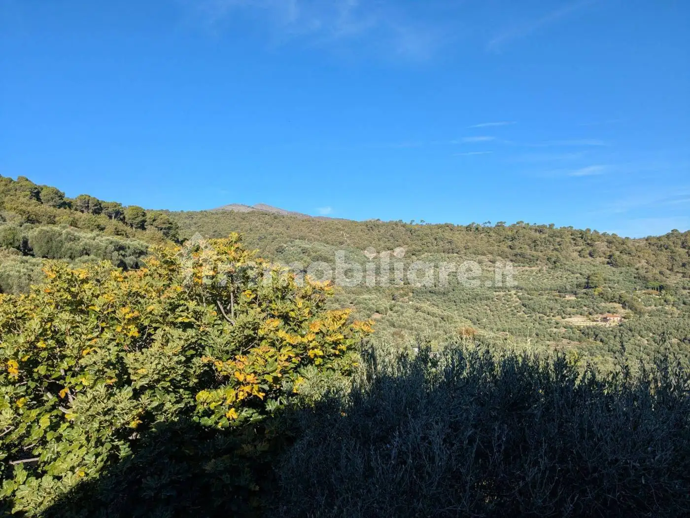 Rustico via San Rocco 90, Lingueglietta, Cipressa - foto 3