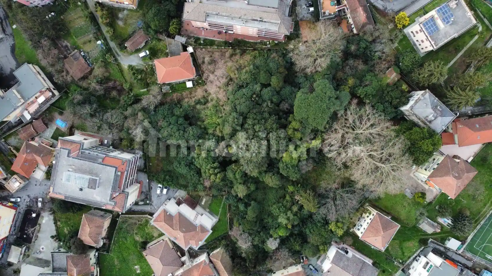 Palazzo - Edificio - foto 4