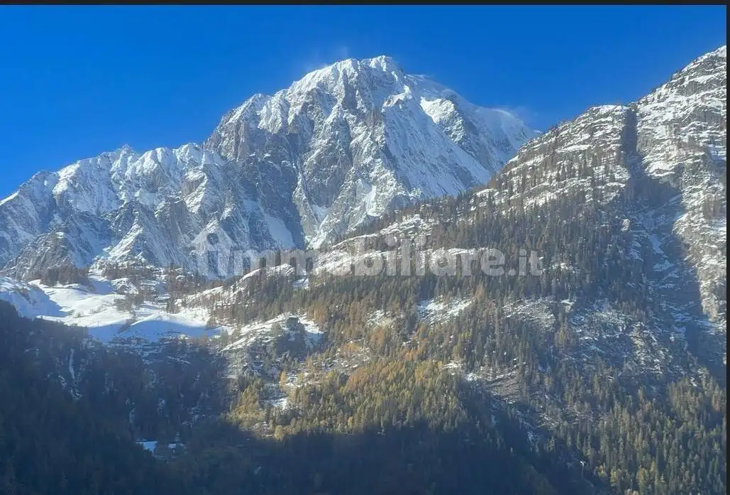 Appartamento in affitto a Courmayeur