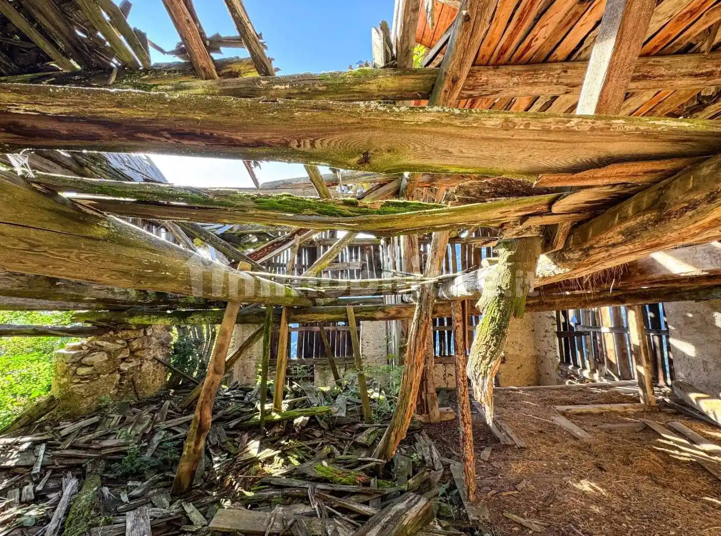 Rustico - Casale - foto 2