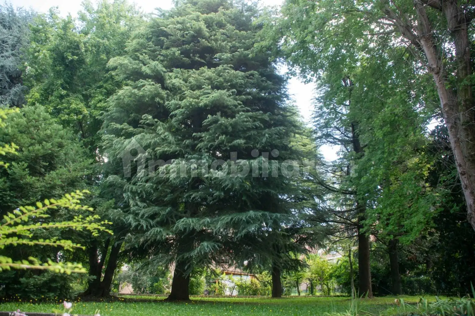 Appartamento in vendita a Selvazzano Dentro