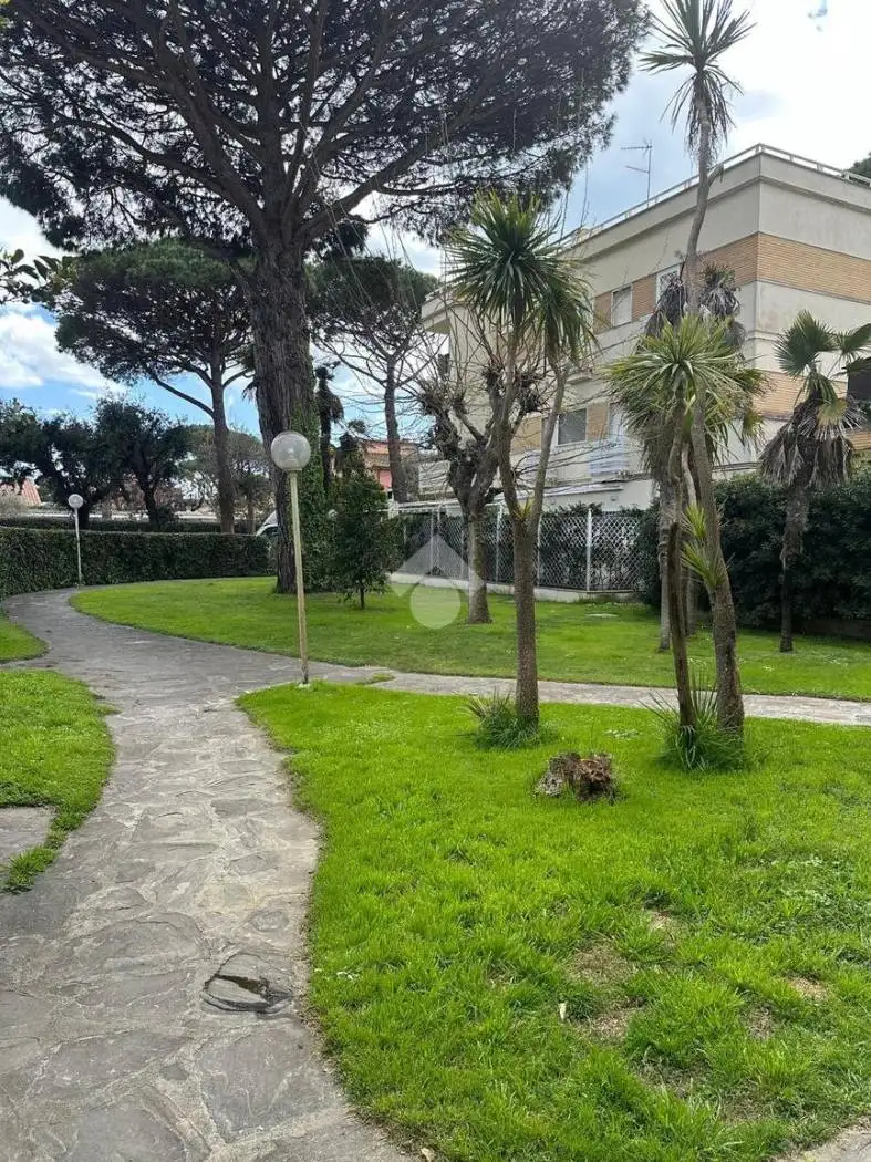 Appartamento in affitto a Fiumicino