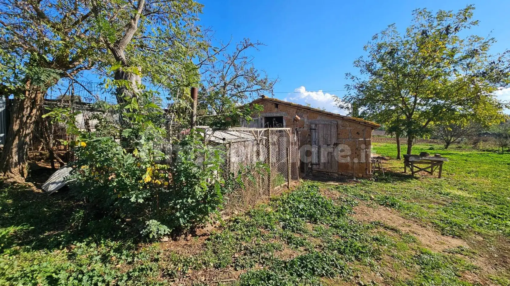 Casale via 8 Marzo, Campagnatico - foto 4