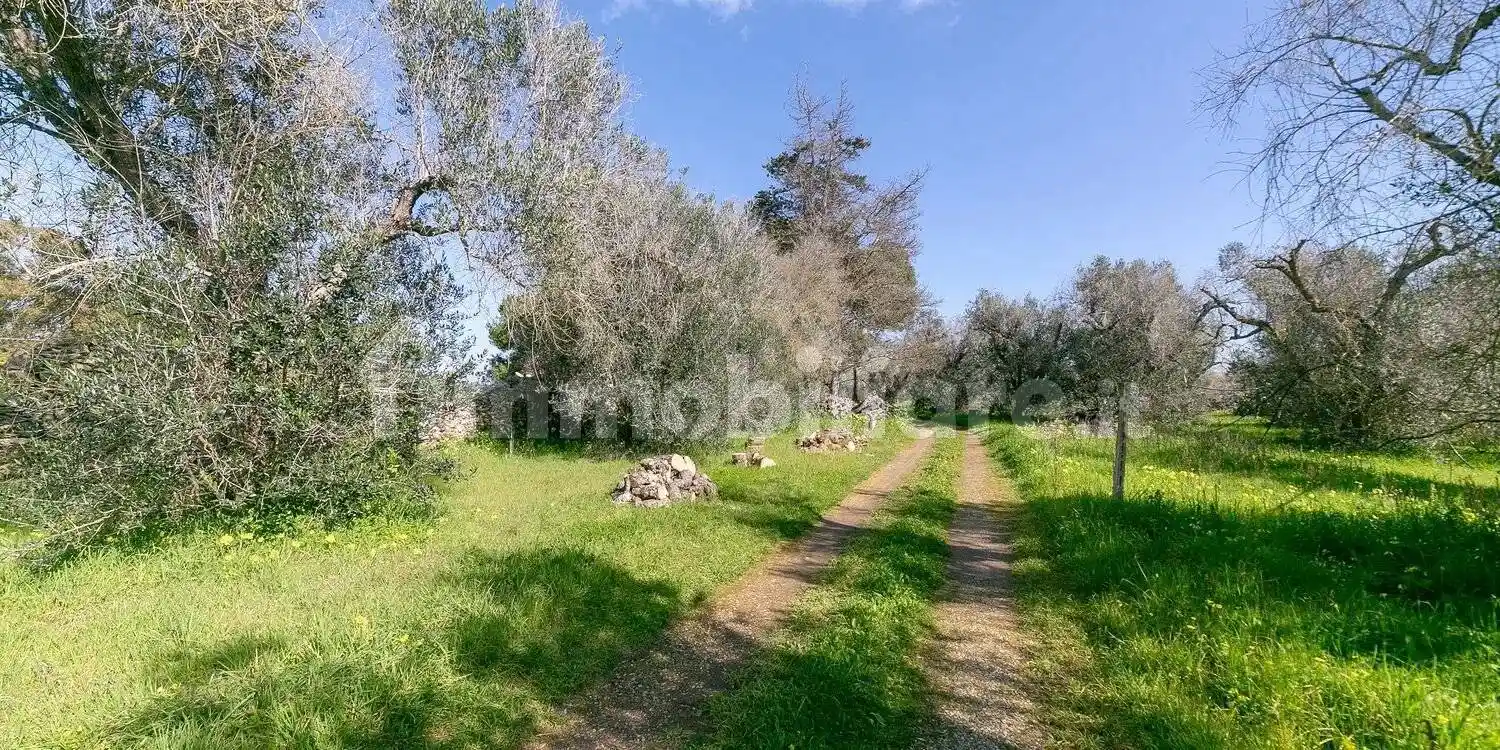 Rustico via Prov 96 Casalabate, 253, Caracci, Lecce - foto 4