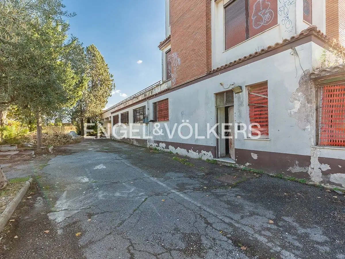 Palazzo - Edificio in Affitto - foto 3