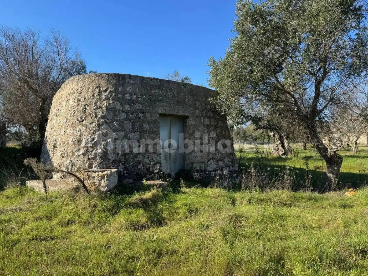 Rustico - Casale in vendita a Corsano