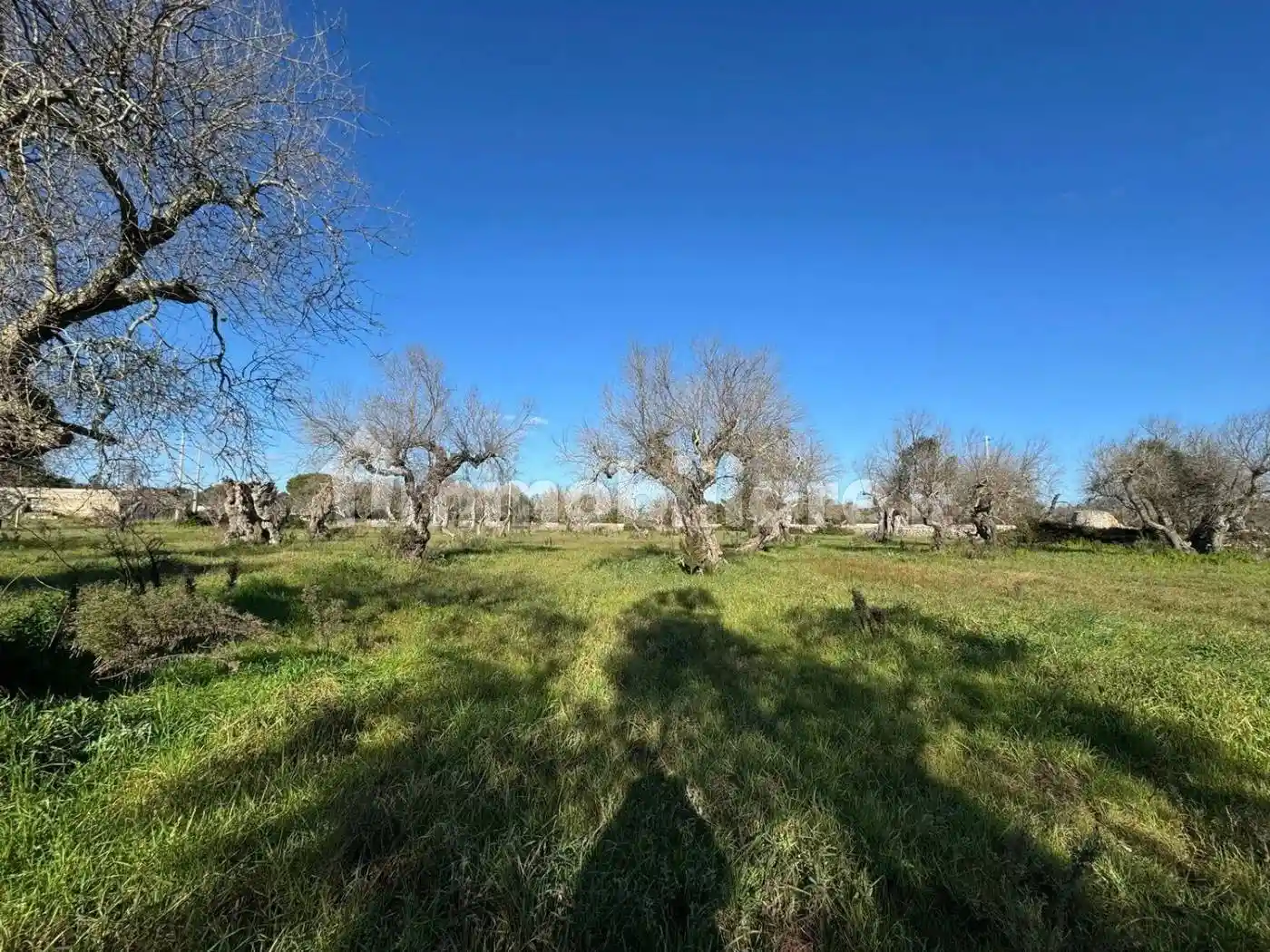 Rustico via Del Sale San C., Corsano - foto 2