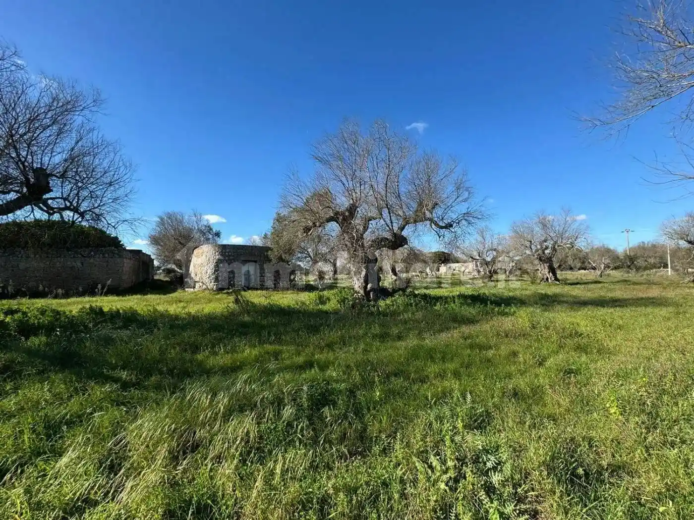 Rustico via Del Sale San C., Corsano - foto 5