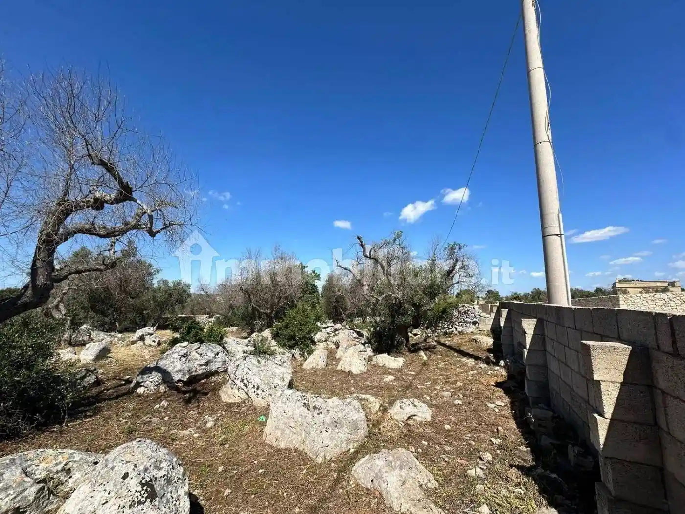 Rustico - Casale in vendita a Corsano