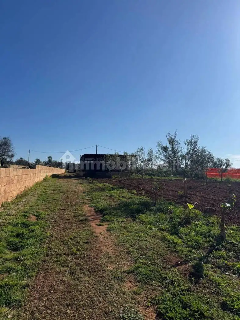 Rustico - Casale in vendita a Corsano