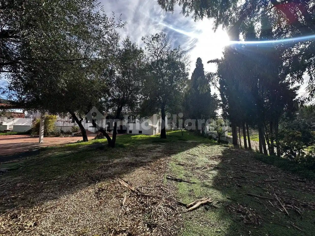 Palazzo - Edificio - foto 3