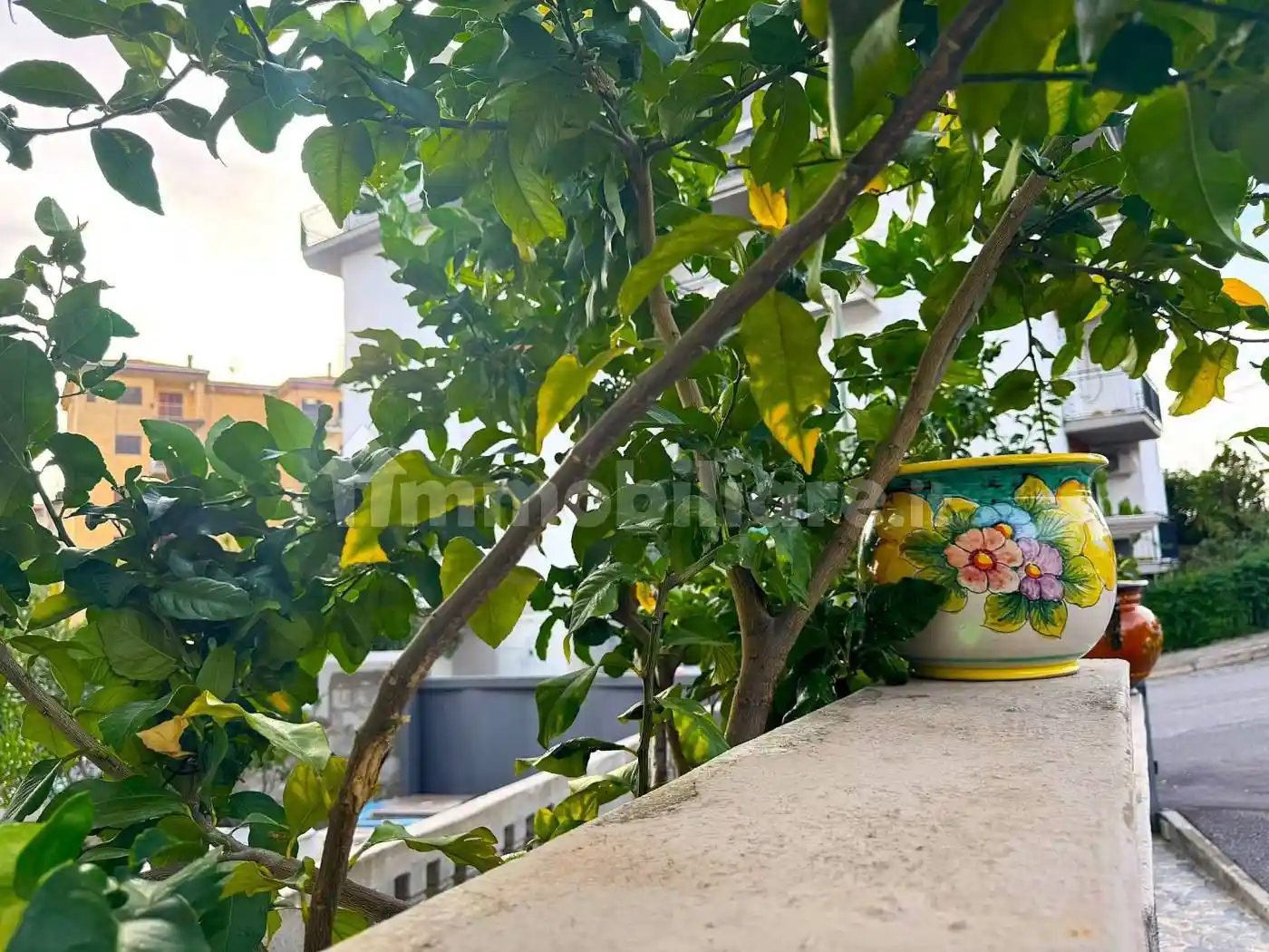 Quadrilocale via Giuseppe Pezzotti 24c, Monticello, Piano Lettieri, Scalea - foto 2