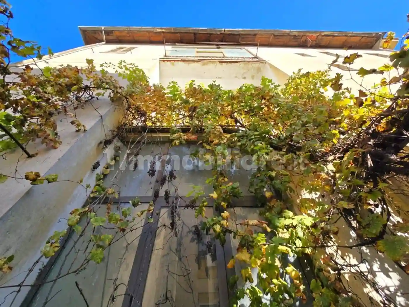 Palazzo - Edificio - foto 5