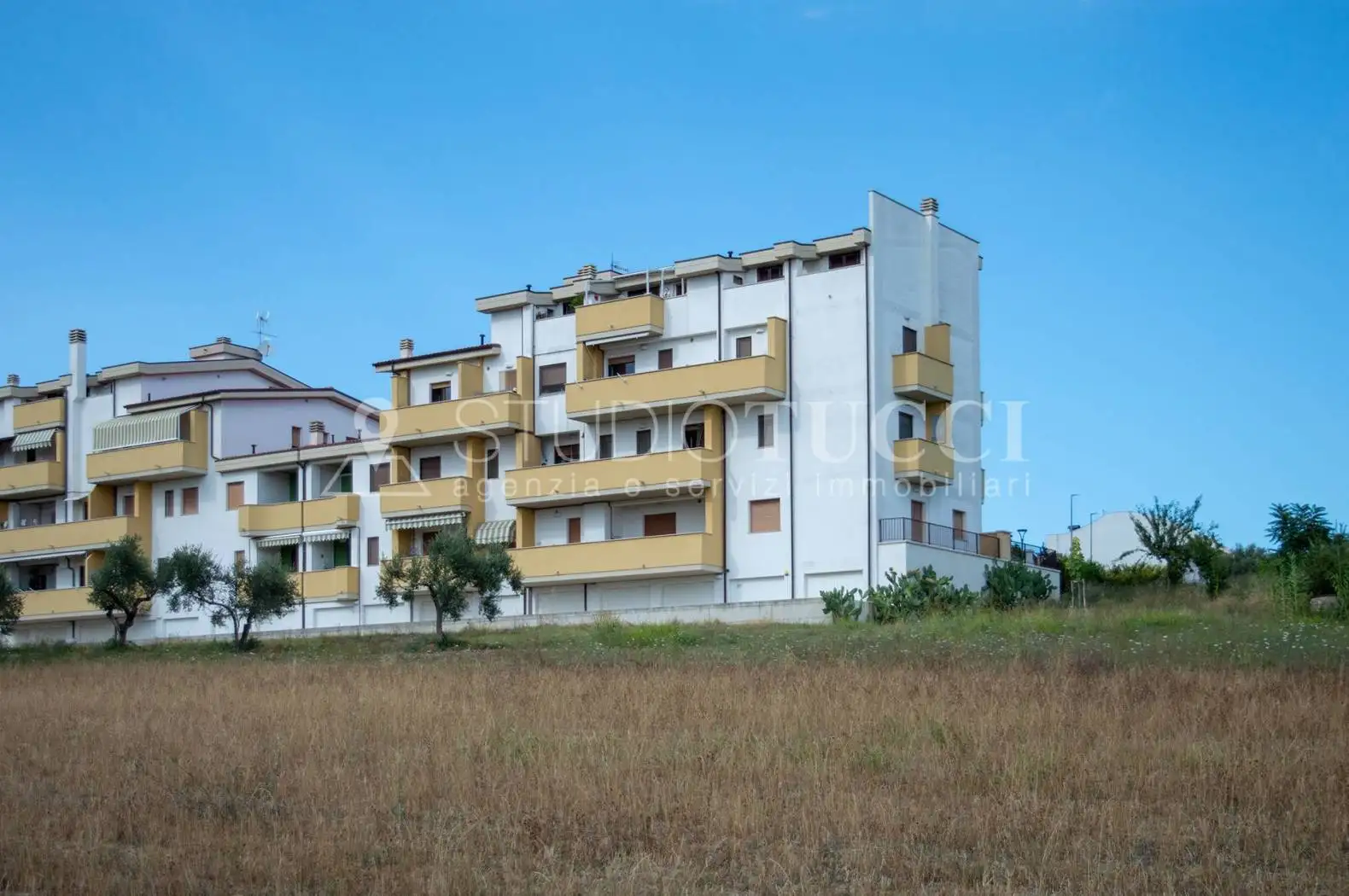 Appartamento in vendita a Cepagatti