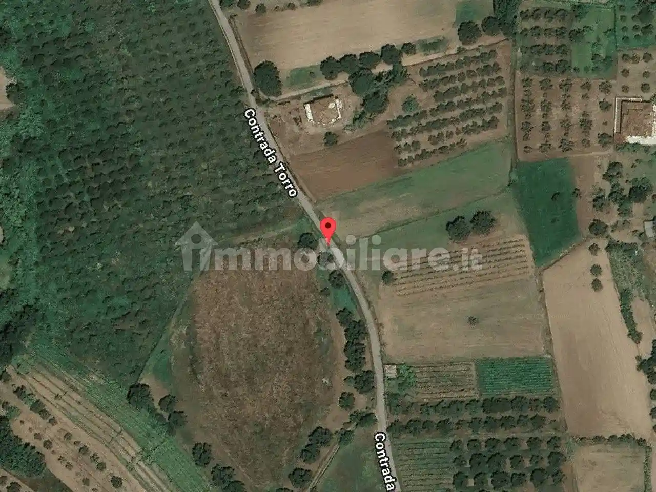 Appartamento all'asta Contrada Bragò snc - 89844 Nicotera, Nicotera - foto 2