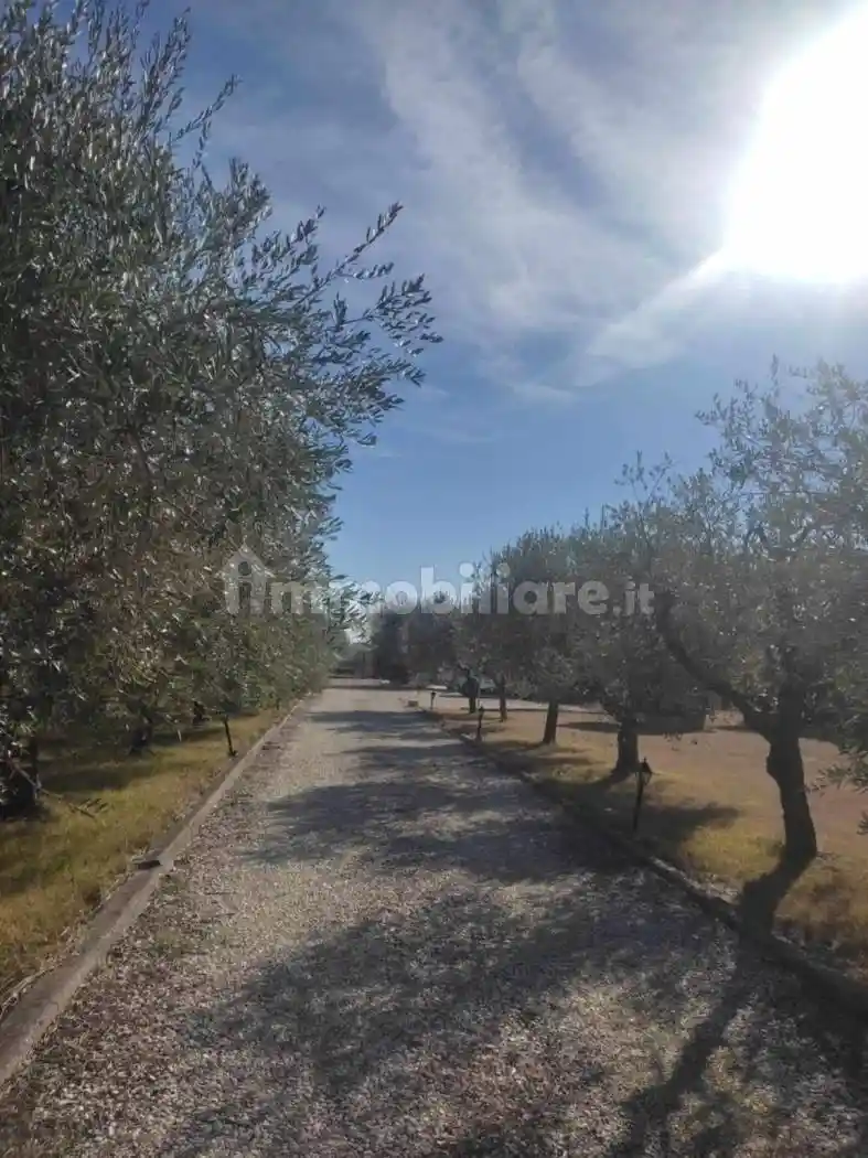 Villa unifamiliare Strada Santa Liberata 9, Ortona - foto 3