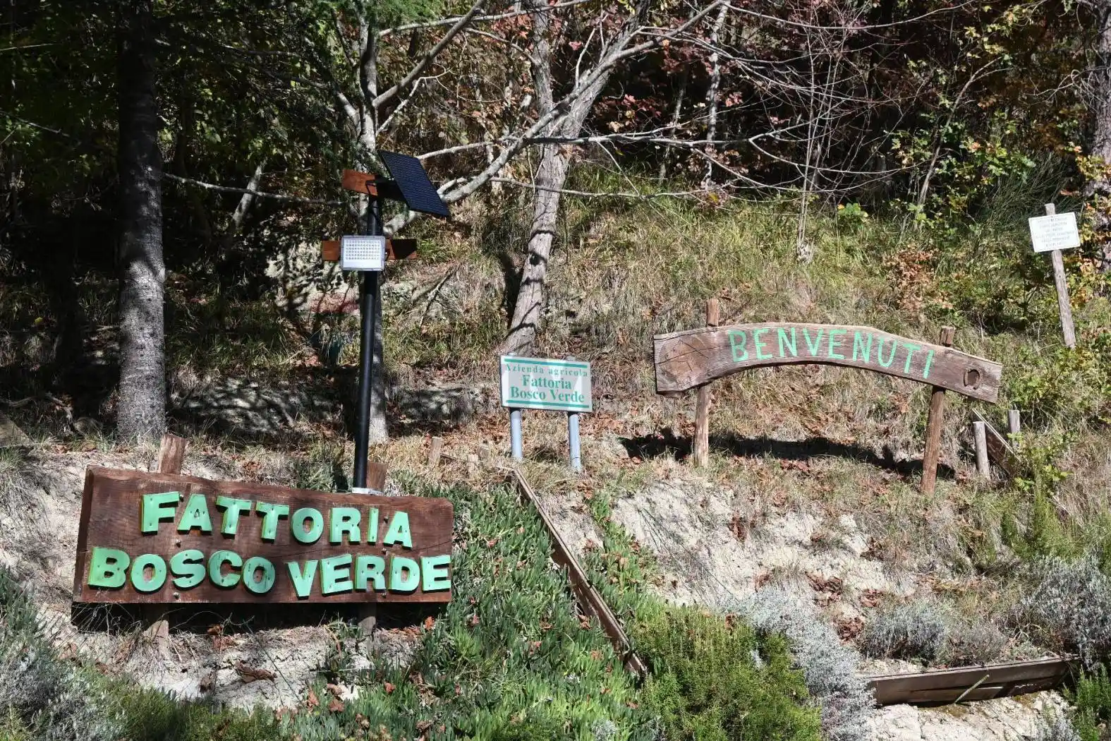 Rustico - Casale in vendita a Civitella di Romagna