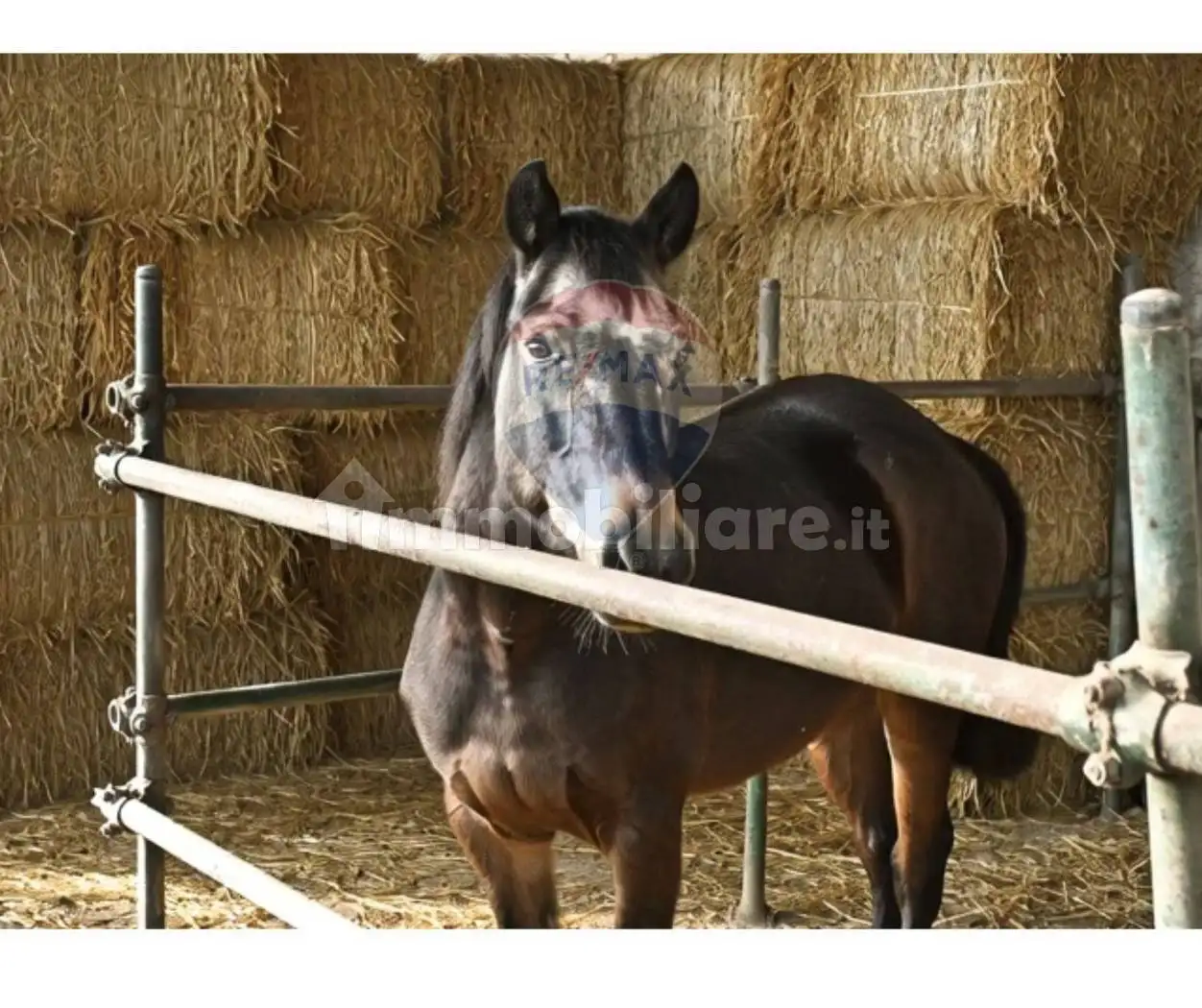 Rustico - Casale in vendita a Civitella di Romagna