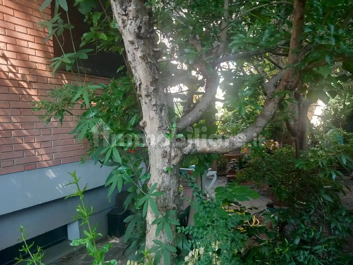 Villa bifamiliare via Pistoiese, Brozzi, Firenze - foto 4