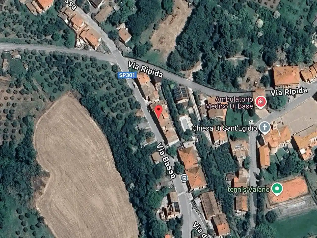 Appartamento all'asta via Bassa 24 - 06060 Castiglione del Lago 24, Castiglione del Lago - foto 2