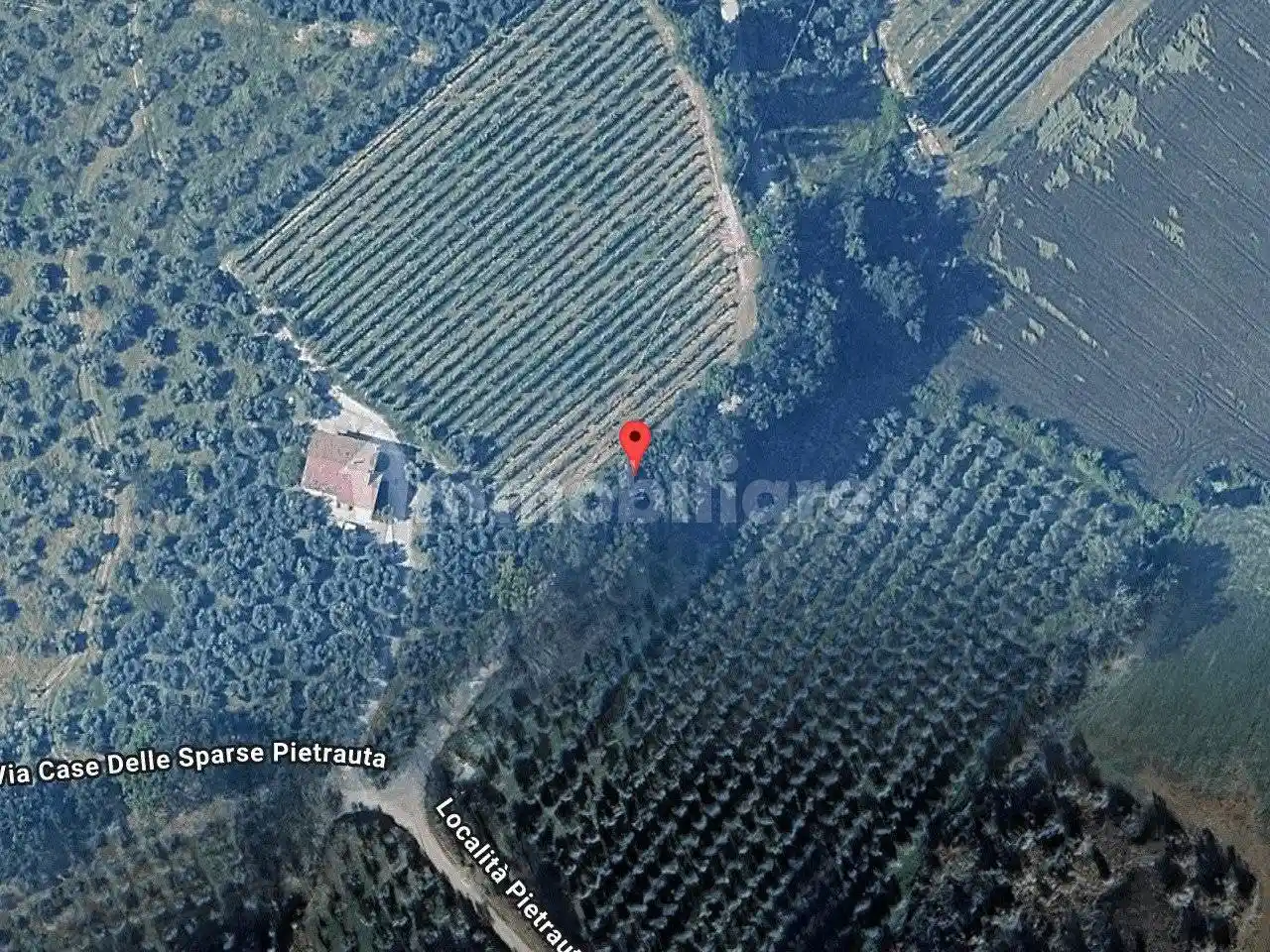 Appartamento all'asta Località Pietrauta, 06036 Montefalco Italia - Montefalco, Montefalco - foto 2