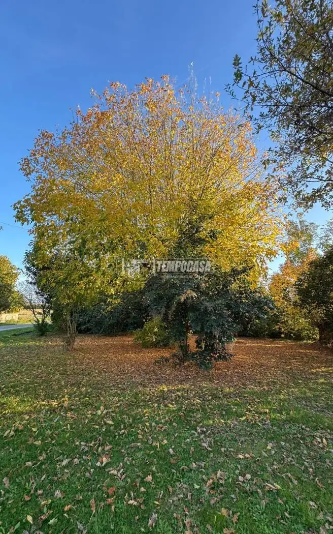 Terratetto unifamiliare via Rossetta 1, Bagnacavallo - foto 5