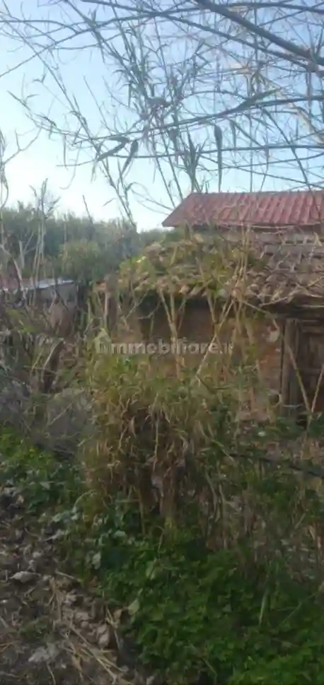 Rustico Località San Giorgio, Località Piana Di Vadi, Briatico - foto 4