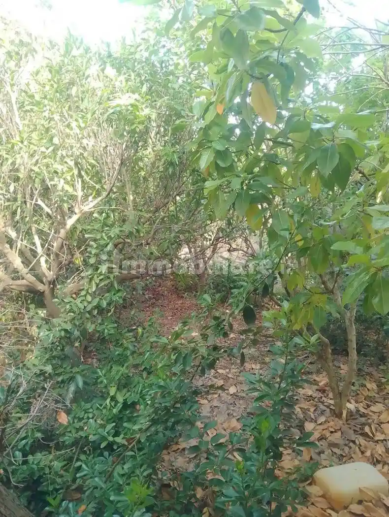 Villa unifamiliare, buono stato, 120 m², Montenegro, Brindisi - foto 4