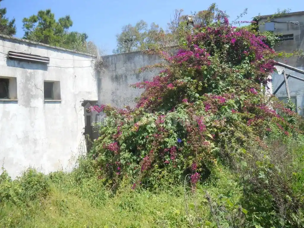 Palazzo - Edificio in Vendita - foto 2