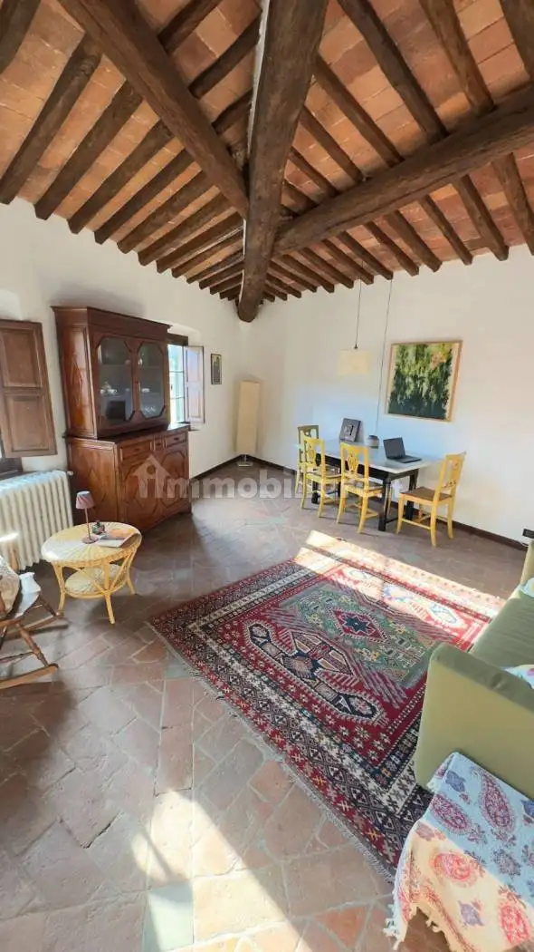 Appartamento in affitto a Vicopisano