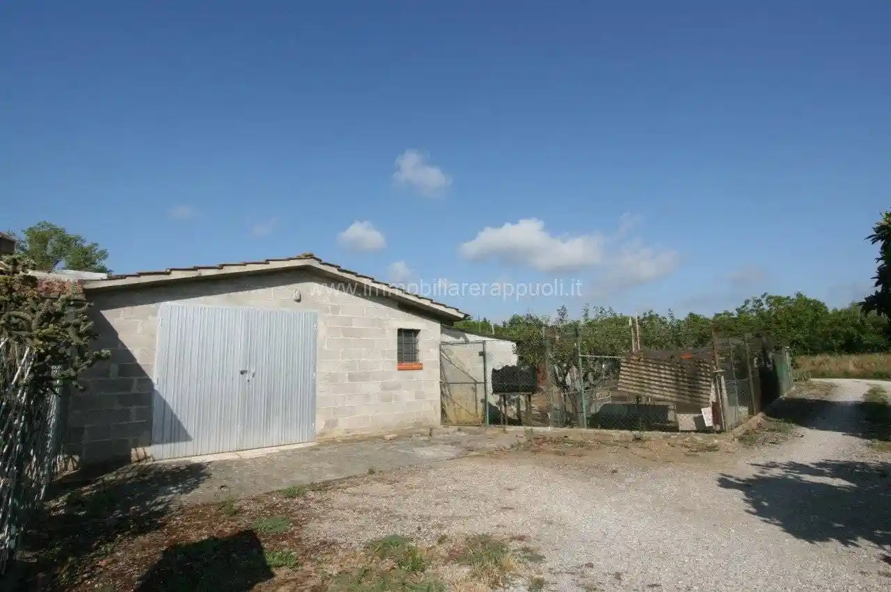 Rustico - Casale in vendita a Sinalunga