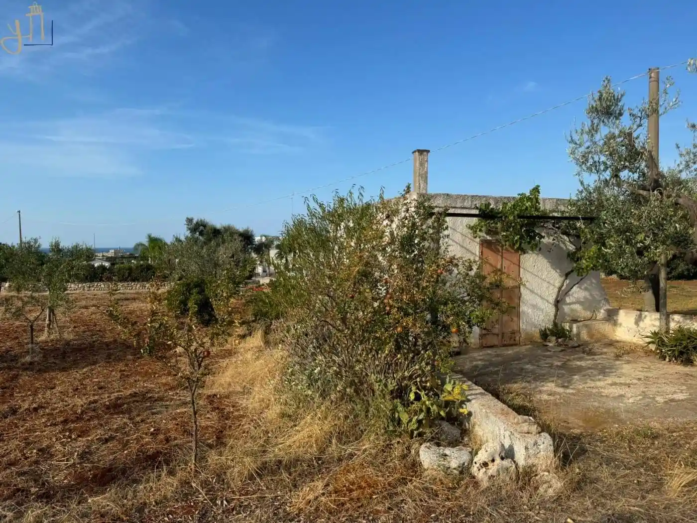 Rustico - Casale in vendita a Polignano a Mare