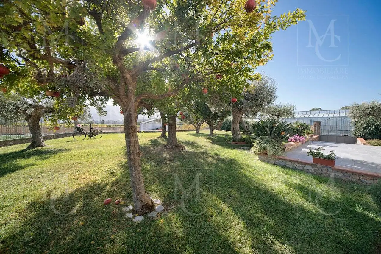 Villa unifamiliare via Torre 3, Cisano sul Neva - foto 5